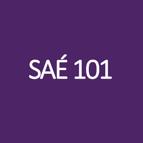 SAÉ 101