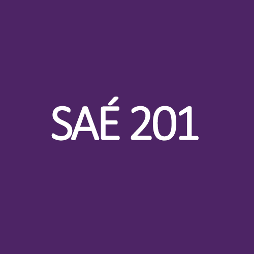 SAÉ 201