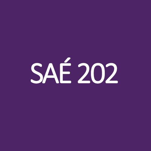 SAÉ 202
