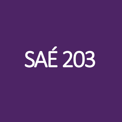 SAÉ 203